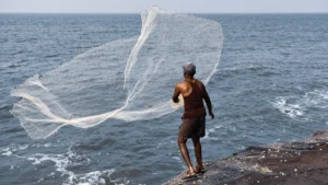 Pesca Predatória