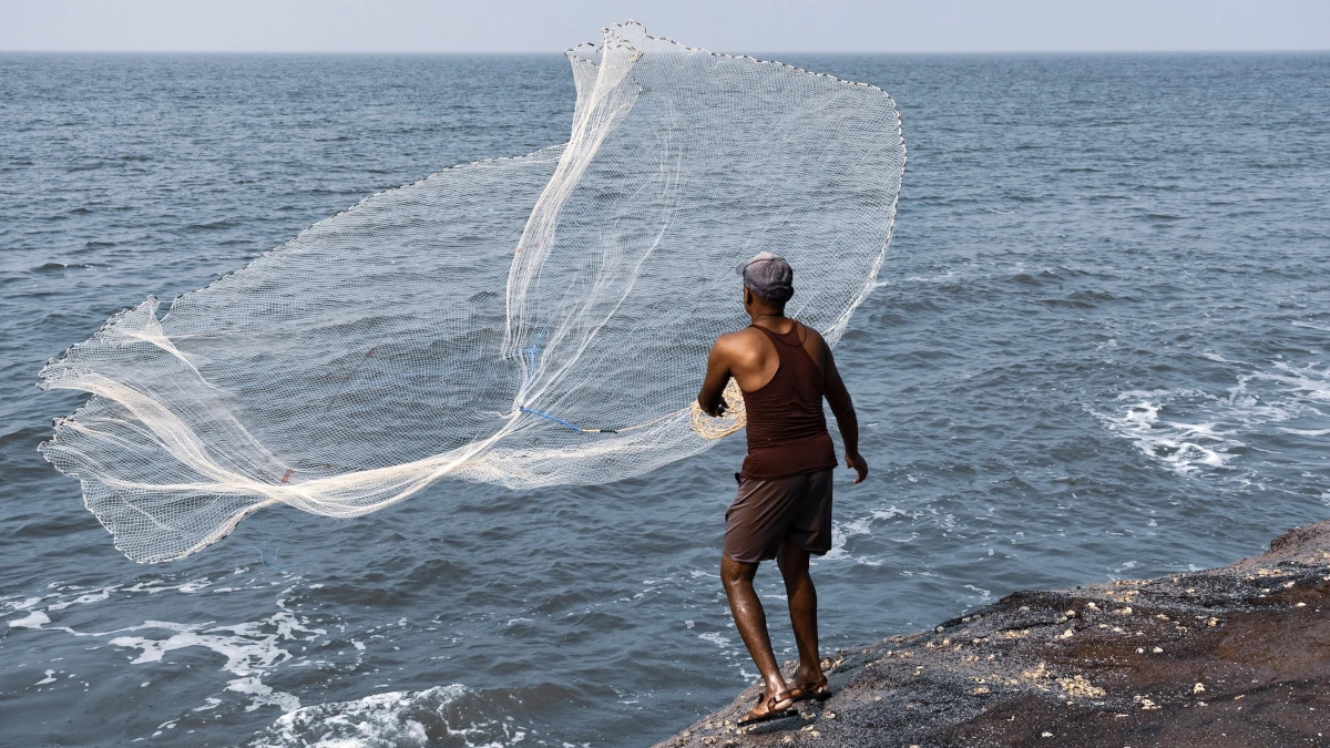 Pesca Predatória